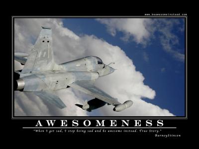 20090111124951-awesomeness1152864.jpg